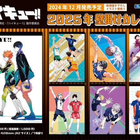 Haikyuu!! Set de Pósteres de Pared 2025