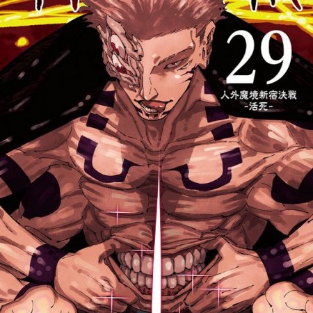 Jujutsu Kaisen #29